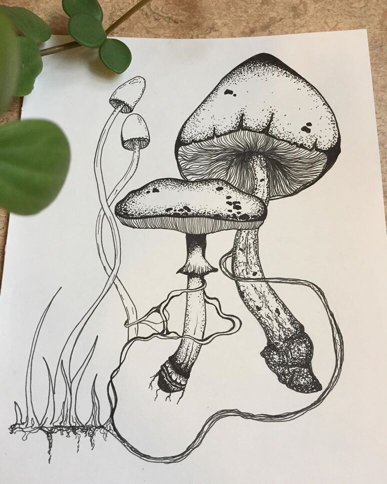 User banner
