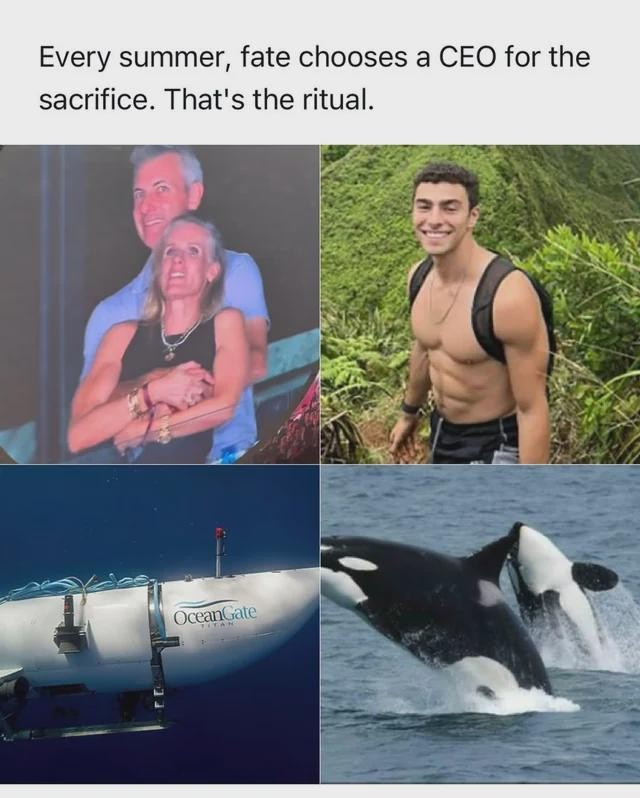 In the picture is written &quot;Every summer, fate chooses a CEO for the sacrifice. That&#39;s the ritual. Seen among others Luiggi Mangione.